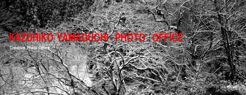 _66A1174-500.png