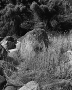 img205-2.jpg