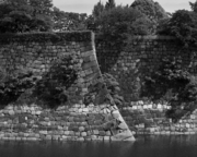 img204-2.jpg