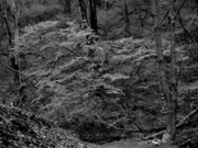 _5130122.jpg