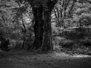 _6120080.jpg