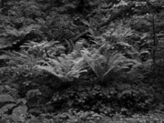 _6200582.jpg