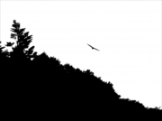 _8111020-2.jpg