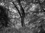 _6190423.jpg