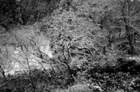 _66A1174.jpg