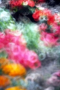 004夢彩-3.jpg