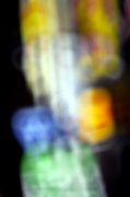 009夢彩-3.jpg