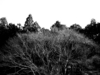 PC225071-22.jpg